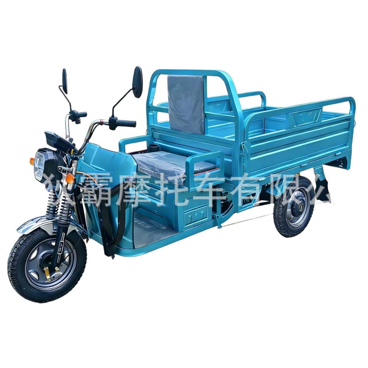Transfronterizo eléctrico triciclo camión de carga Wang La carga de alta potencia agrícola triciclo de batería de tres ruedas motocicleta de tres ruedas