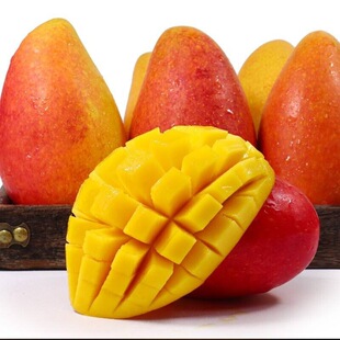 �����F��â����ˮ��â���V���l؛�F��â���]���rˮ��â��һ�����l