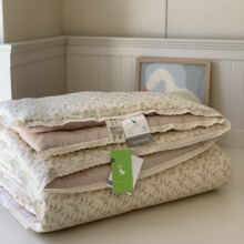 韩国大鹅 2025慕斯春秋被子被芯 春秋被 纯棉全棉小花边被芯被子