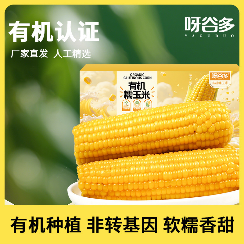 Yaguoduo Northeast Organic Yellow Glutinous Corn 10 Pieces Fresh Vacuum-Sealed Soft Glutinous Whole Grain Breakfast Meal Replacement Yaguoduo Northeast Organic Yellow Glutinous Corn 10 Pieces Fresh Vacuum-Sealed Soft Glutinous Whole Grain Breakfast Meal Replacement