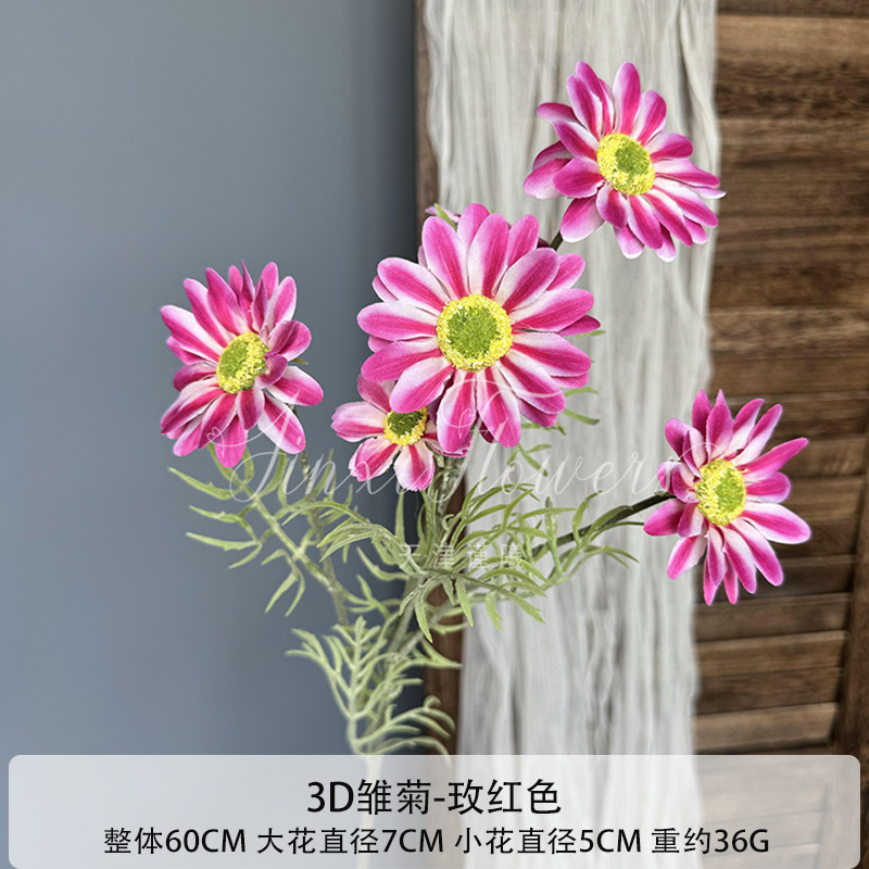 로즈 레드