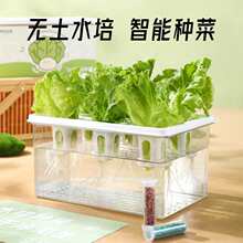 ��ͥˮ���߲˷Nֲ�Пo�������O��ˮ�����������׃��@�����^�컨��