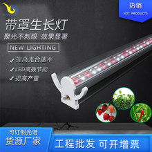 T5LEDֲLȫVt{Ϲ߲˶T5LEDֲa