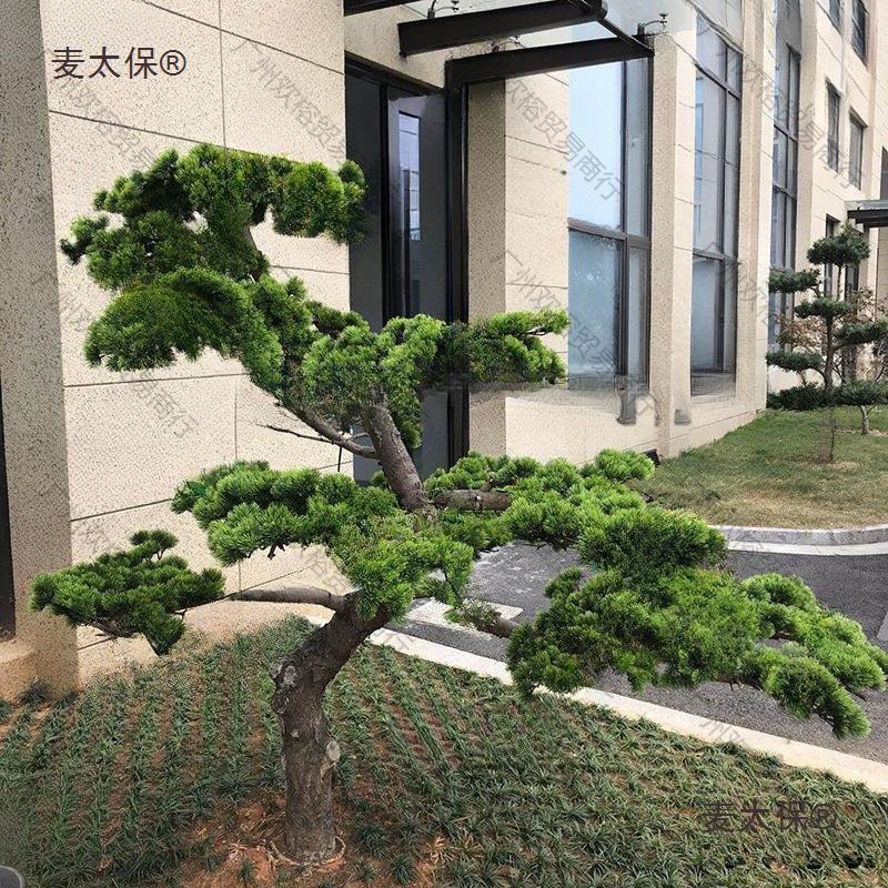 仿真松树枝松针假罗汉松美人松柏树枝松树叶黑松崖柏枝迎客垒德株
