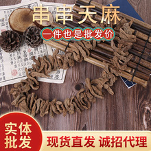 批发串串天麻 自然风干 不熏硫 实体店铺诚招代理