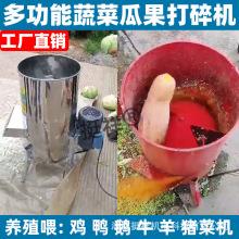 厂家直销多功能打碎机打蔬菜瓜果粉碎破碎家用小型电动养殖饲料机