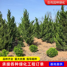 ���K���ػ����ɰ����ؘ����� ������֦�����ؘ��֦���ļ���