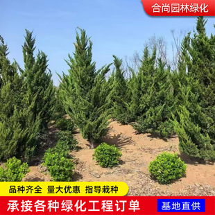 ���K���ػ����ɰ����ؘ����� ������֦�����ؘ��֦���ļ���