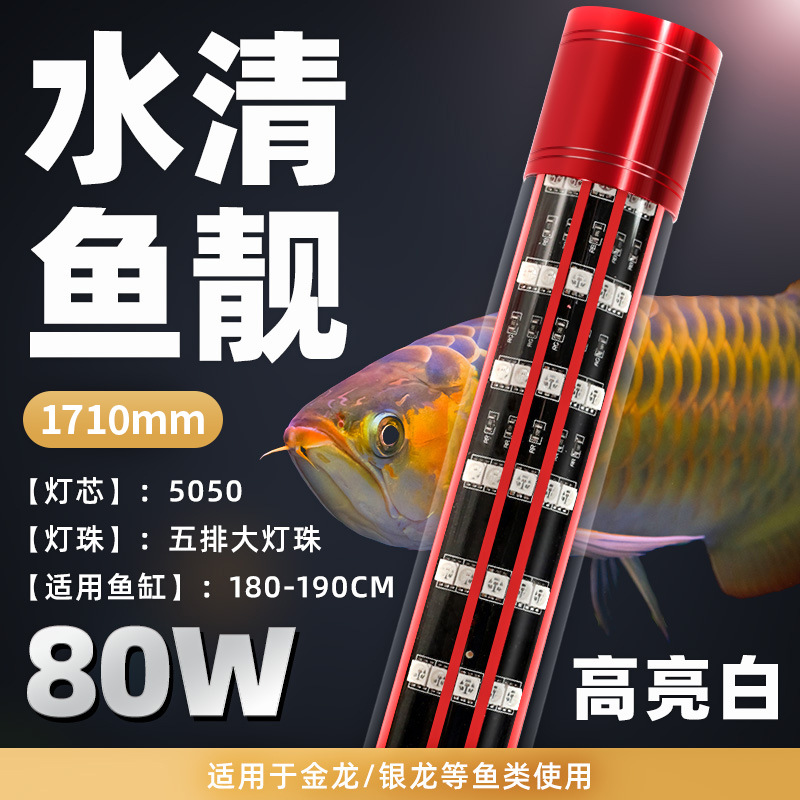 T12 Five Rows 173cm Warm White (110-240V Available)