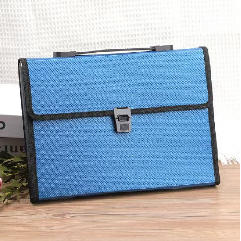 Custom Large-Capacity Transparent Simple Organizer File Fold