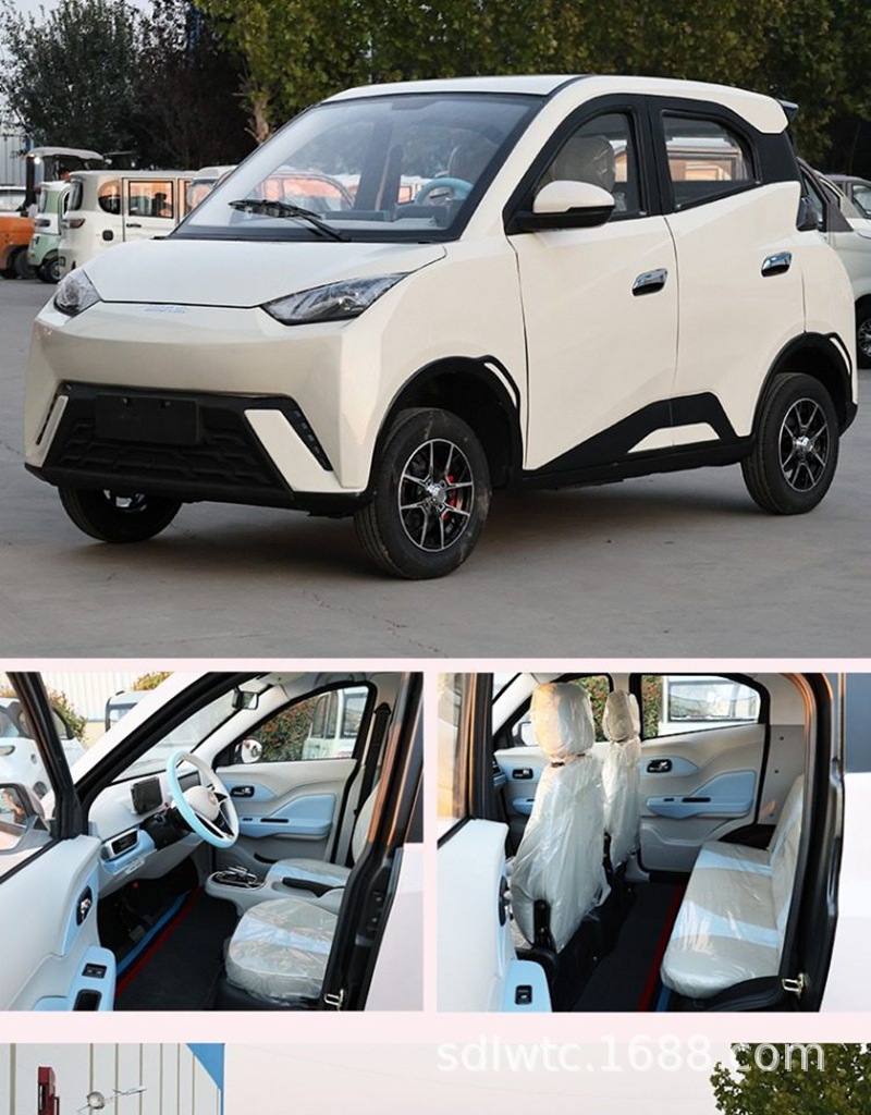 Seagull-Style Electric Four-Wheel Vehicle, Household Fuel-Electric Hybrid Car for Women, Fully Enclosed Lithium Battery Electric Vehicle