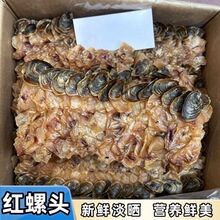 ������t�����Ƭ����ԭֻ���500g���a��؛��Ɏ����U�~�Ҝ����a