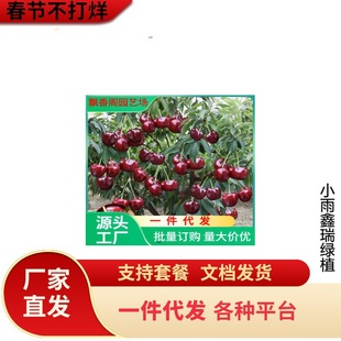 ܇���Ӽ޽ә��Ҙ�������ͥԺ���Ա����Ϸ��Nֲ���Ҙ䮔��Y����