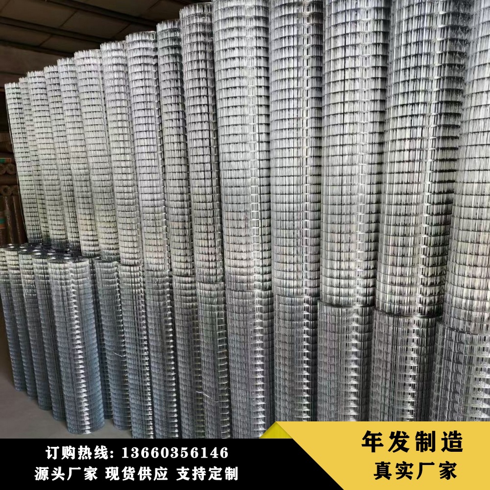 现货铁丝网建筑工地批墙网抹灰网墙壁保温  电焊批荡网  钢丝网卷