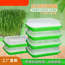 㶹NֲPѿ˶ѿPбPLˮo߲