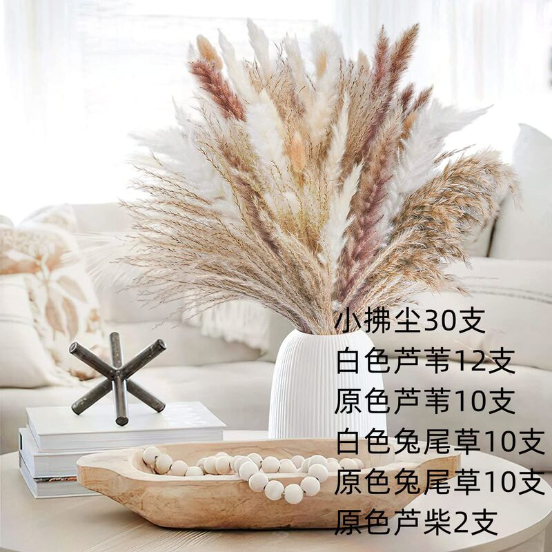 アマゾンはよく売れています。葦の花の花束です。|undefined