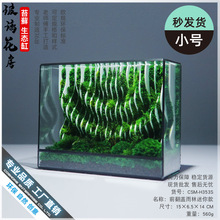 ̦�\΢���^�Gֲ�������Bƿˮ���~�������b��쾰�[���׺β�������