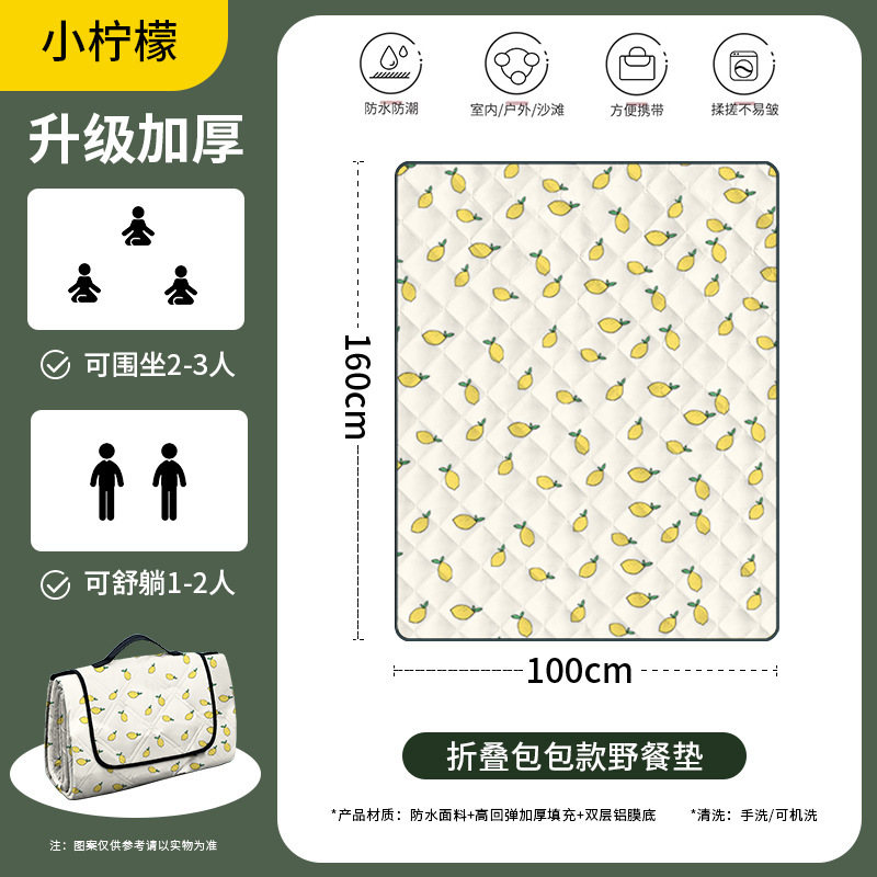 2~3인용 - 작은 레몬(160cm*100cm) '접이식 가방이 더 편리해요'