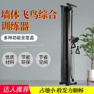 Multifunctional Little Bird Gym Wall-Mounted Commercial Fitness Equipment Single-Sided Space Strength Training Device