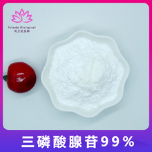 三磷酸腺苷99%【 100g试样装】ATP 源头厂家 优兰达生物 现货包邮