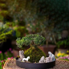 Metal craft plate tray sandbox plant pot landscape base green plant floral dish micro landscape indoor pot metal pot