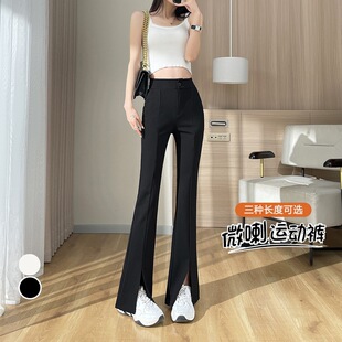 �_������ѝ����2026������@�ݴ�����С���ӾW�t��ɫ���b΢��ѝ