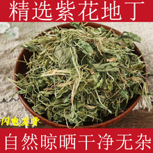 紫花地丁中药材苦地丁草新鲜紫花地丁干草犁头草箭头草紫花地丁茶