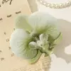 5081 Phalaenopsis-White-Black Matcha Green