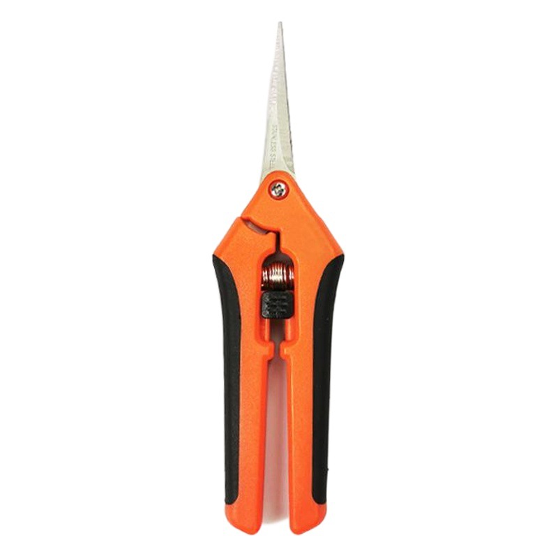 Tijeras de reparación de plántulas de frutas en stock Tijeras de brotes de hojas de acero inoxidable Tijeras de podar árboles frutales Tijeras de jardinería de ramas gruesas