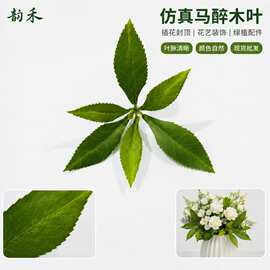 仿真绿植马醉木叶插花装饰配件工程园林造景家居盆栽摆件假花树叶