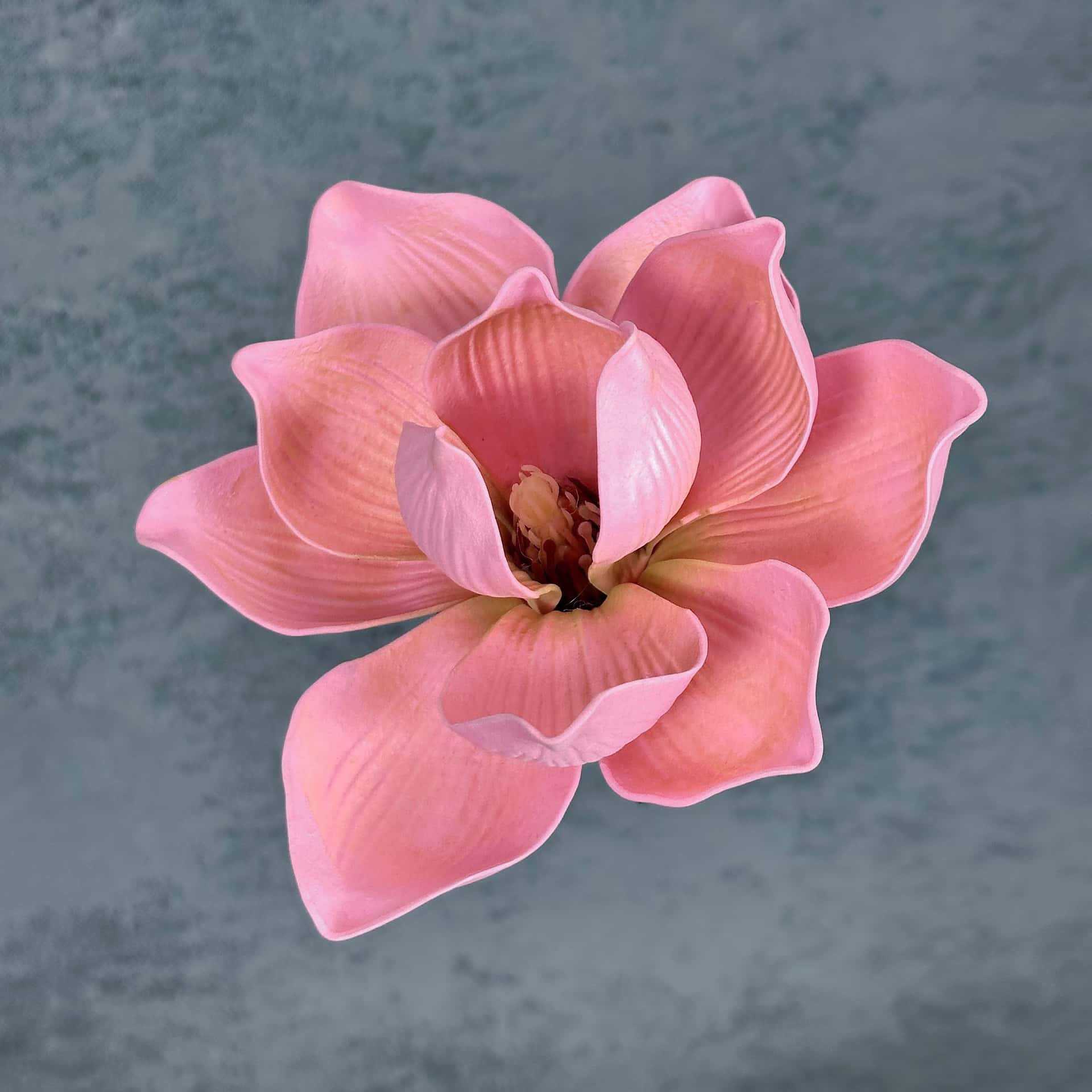 Flor de simulación transfronteriza EVA cabeza de magnolia 13cm tacto tocado kapok decoración decoración decoración flor falsa al por mayor