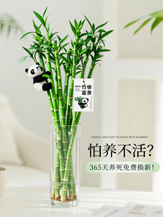 ���F��ˮ��ֲ��͏d��ؔ�D�\���Ӵ֗U�����҃�ˮ�B�Gֲ�ļ������l