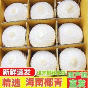 �������rҬ��Ҭ��ˮ������ˮ���ЋD�Ĳ��خa��ˮҬ���u��Ҭ��Ҭ֭