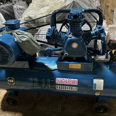 Hava kompressorları, Air Compressor Industrial-Grade - 098-single-phase
