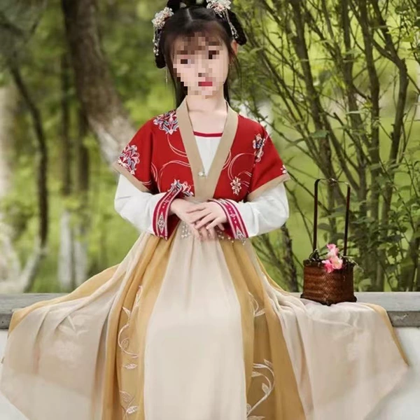 Drunken Furong Hanfu Long Sleeve