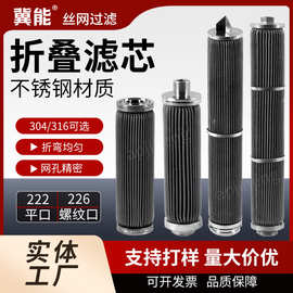厂家304不锈钢折叠滤芯 现货批发折波毡滤芯跨境波页状滤芯反清洗