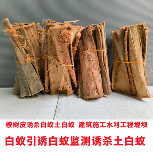����ρ�皢�A�����T��ρ�T���ׂ�Ⱦ�糲����@�քe��ˮ��̉Μ�ρ