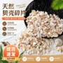 景观不规则水族杂色珍珠贝