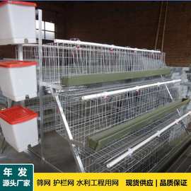 广州养鸡设备镀锌蛋鸡笼 3层4门5门蛋鸡笼育雏笼 阶梯式青年鸡笼