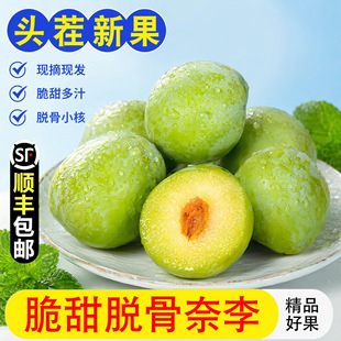 ����S���]�����ڹ������������r����Ó������Fժ�ЋD��ʳˮ��