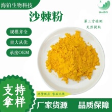 沙棘粉 优质果粉 SC厂家  全水溶食品级 现货速发 免费拿样