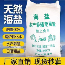 ���}ˮ�a�Bֳ���ô��}���w�����r�\���~���~���B�~���I�}