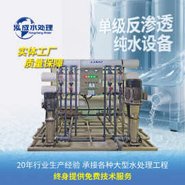 泓成水处理超滤RO单级反渗透纯水设备EDI电除软化水净水机工业水