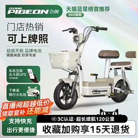 电动自行车;电动三轮车