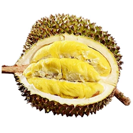 块茎类;其他水果;苹果