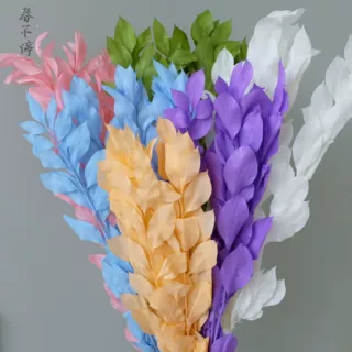 桔叶保鲜花插画春节家居装饰拍摄花卉道具云南厂家批发永生花桔叶