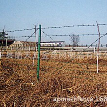 ���K ��޼�z���������K �ι�䓽z�̾W 䓽z���F�z��