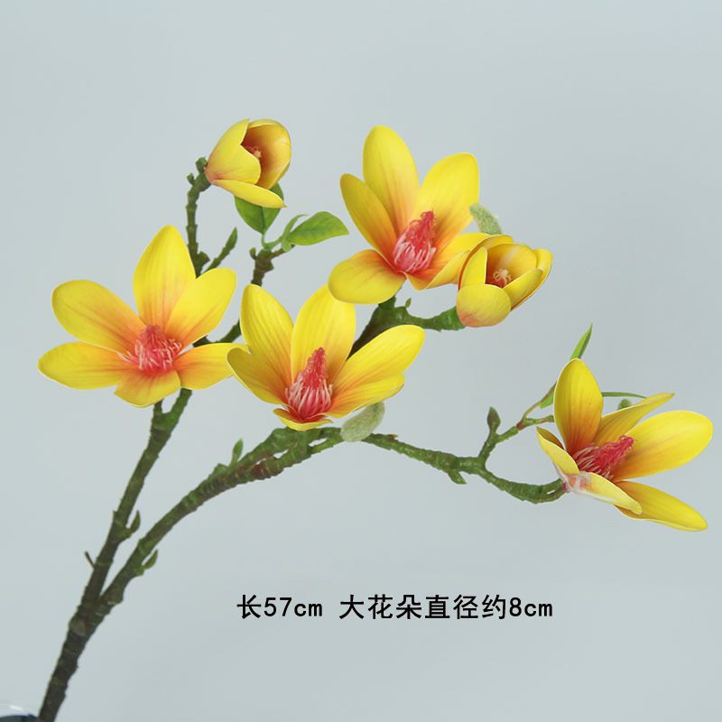 노란색 목련 6개