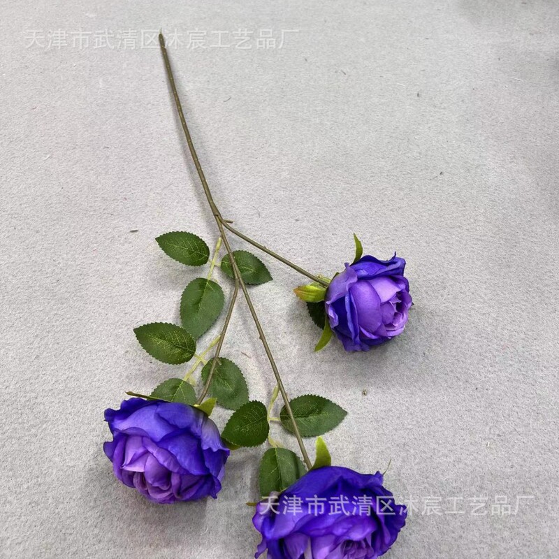 3頭のアカシアのバラはヨーロッパ式の油絵のバラの家庭の撮影の結婚式の撮影の道具の装飾の花をシミュレーションします。|undefined