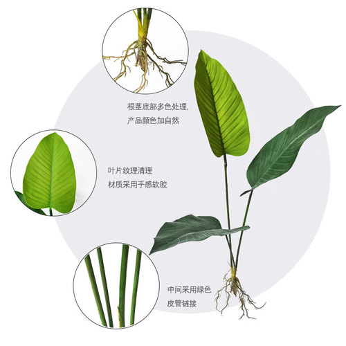 Simulated Turtle-Back Leaf Rubber Lily Leaf Bundle Plant Pot Plant Nordic Style Green Plant Bird's Nest Fern Simulated Green Plant Landscape